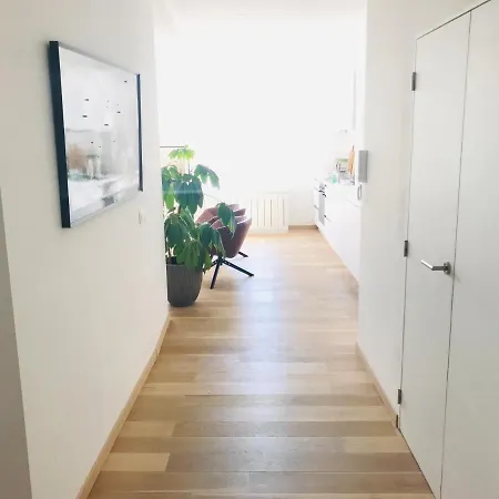Prachtig, Gerenoveerd In Ostend